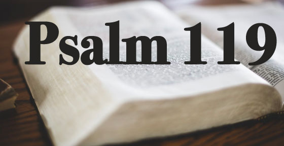 Psalm 119 - Bible Reading - Keltys First Baptist Church